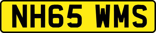 NH65WMS