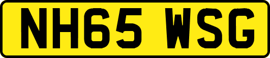 NH65WSG