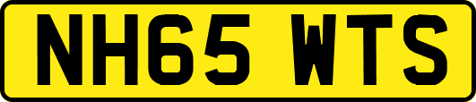 NH65WTS