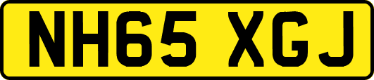 NH65XGJ