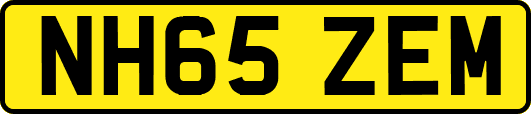 NH65ZEM