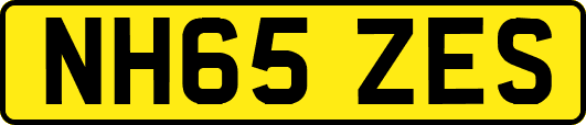 NH65ZES
