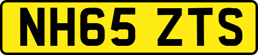 NH65ZTS