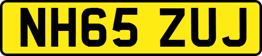 NH65ZUJ