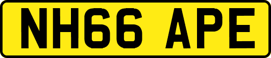 NH66APE