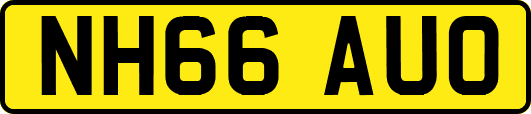 NH66AUO