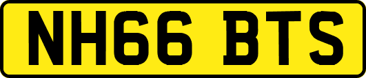 NH66BTS