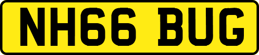 NH66BUG