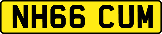 NH66CUM