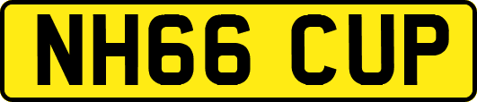 NH66CUP