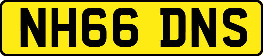 NH66DNS