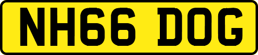 NH66DOG