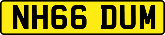NH66DUM