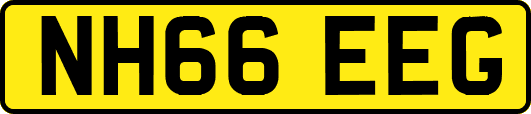 NH66EEG