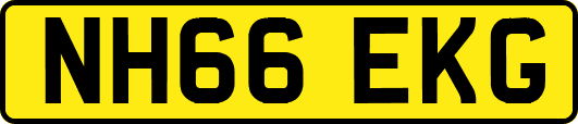 NH66EKG
