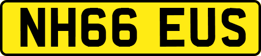 NH66EUS