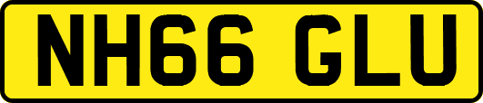NH66GLU