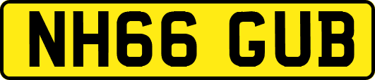 NH66GUB
