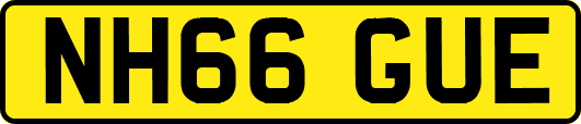 NH66GUE
