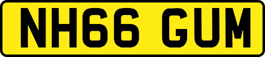 NH66GUM