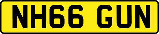 NH66GUN