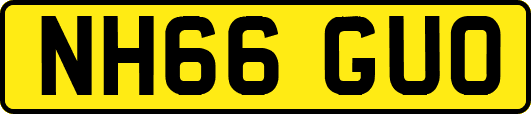 NH66GUO