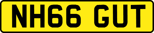 NH66GUT