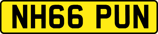 NH66PUN