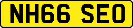 NH66SEO