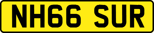NH66SUR