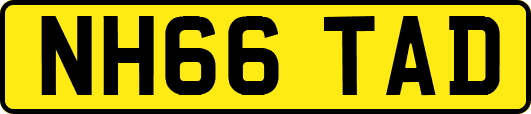 NH66TAD