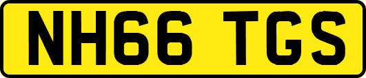 NH66TGS