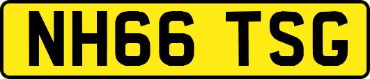 NH66TSG