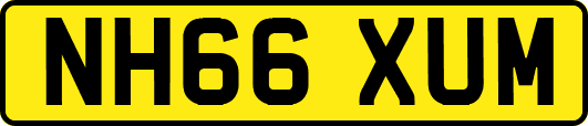 NH66XUM