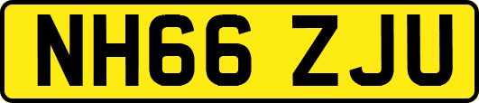 NH66ZJU