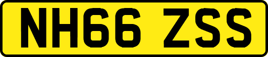 NH66ZSS