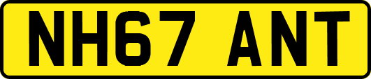 NH67ANT