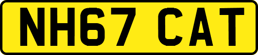NH67CAT