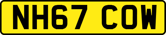 NH67COW