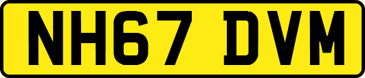 NH67DVM