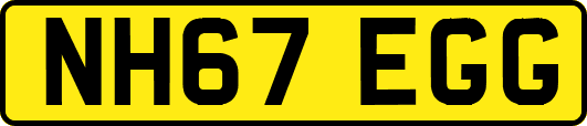 NH67EGG
