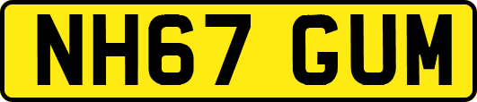 NH67GUM