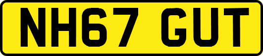 NH67GUT