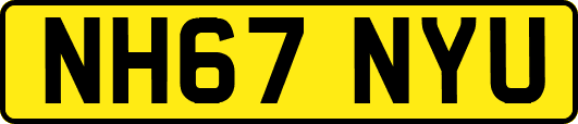 NH67NYU