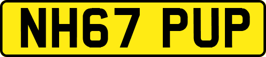 NH67PUP