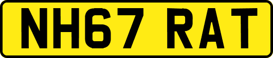 NH67RAT