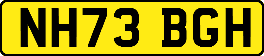 NH73BGH