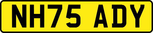 NH75ADY