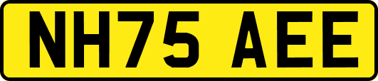 NH75AEE