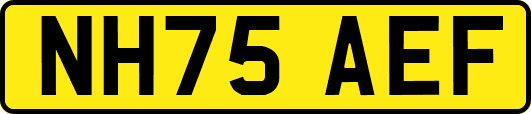 NH75AEF
